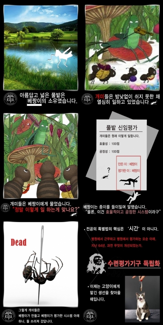 수련병원은 베짱이?…대전협, 新 개미와 베짱이 공개