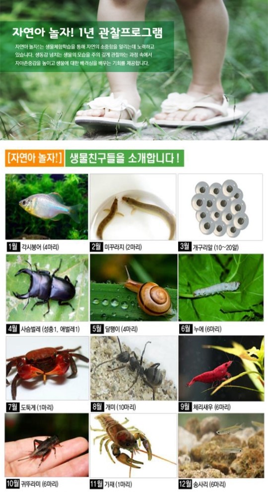 겨울방학 자연관찰 프로그램은 쏠까 ‘자연아 놀자!’에서