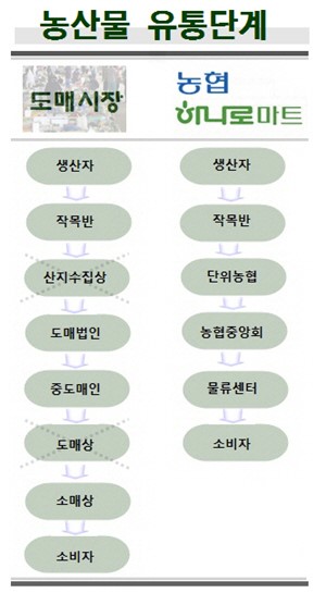 현장 외면한 유통단계 축소…구성의 오류