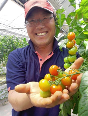 억대부농 성공비결 - 보은 방울토마토 농장 권중돈씨