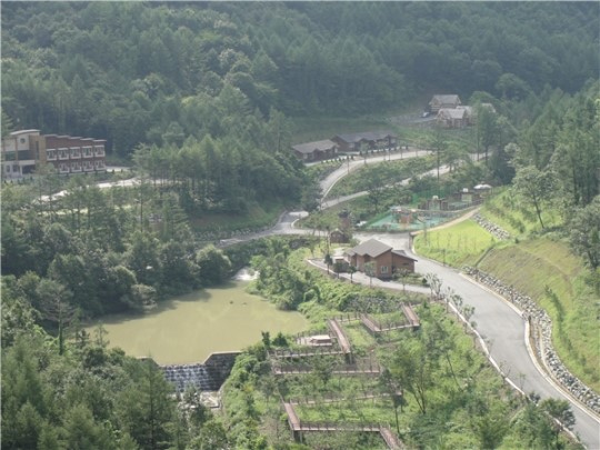 충북알프스자연휴양림 인기몰이