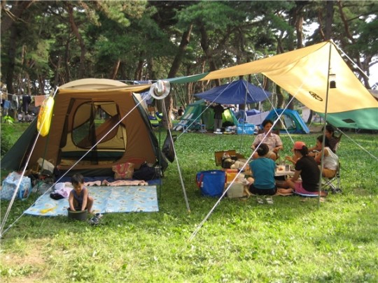 영동 송호국민관광지, 캠핑족들 유혹