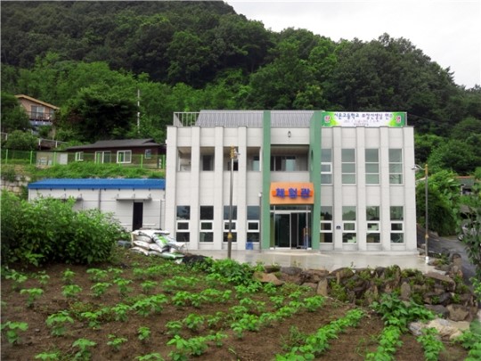 옥천군 환평 약초마을 들어서 눈길