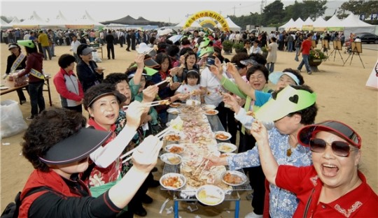 바람, 물, 사람이 만든 건강이야기 2013 증평인삼골 축제