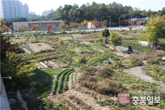 청원 개인땅 터미널 부지 적합 용역결과 논란