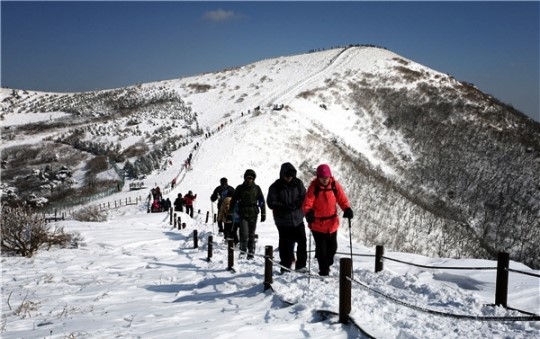 단양소백산에서 겨울을 즐기자
