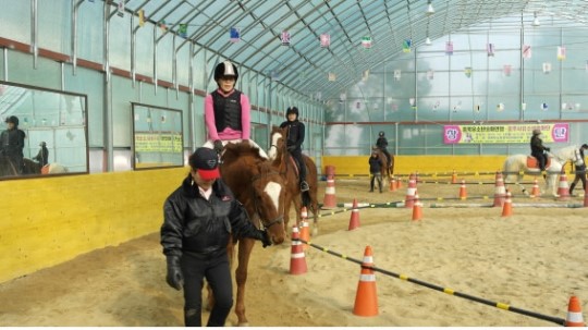 충주시여성단체협의회 회원들, 승마체험으로 기분UP