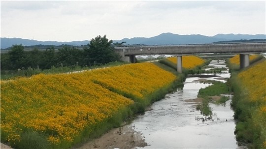 ㈜대현이엔씨 혁신적인 호안공법 개발로 주목