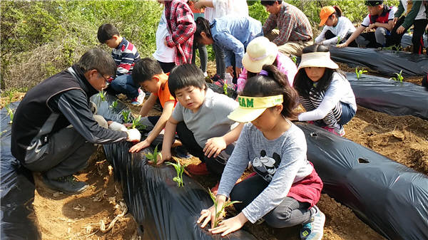 괴산명덕초-흙사랑영농조합 교육기부 협약 체결