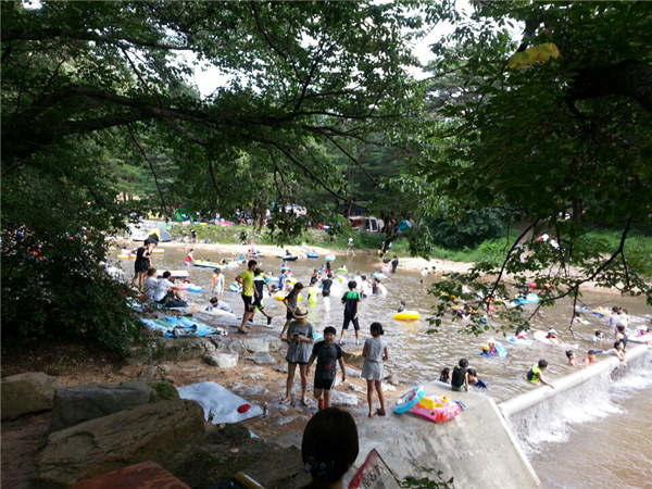 속리산 청년회, 관광지 안전·환경 지킴이 구슬땀