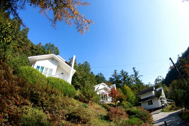 산림청 추천 11월의 휴양림에 속리산말티재