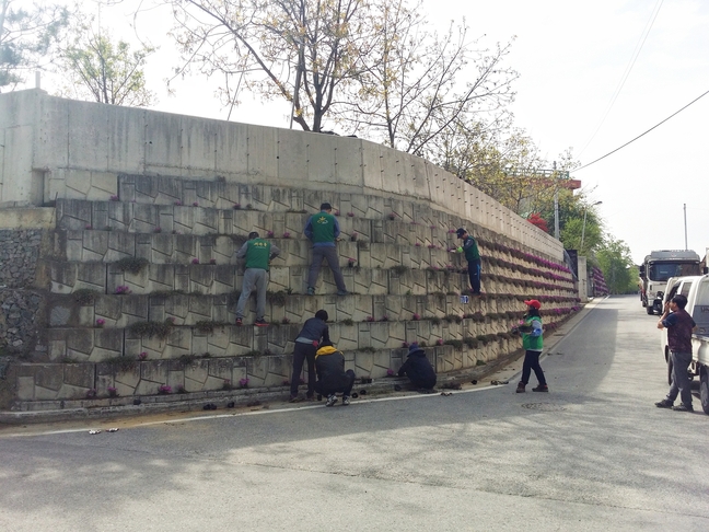 충주 교현2동 새마을협, 아름다운 꽃길 조성