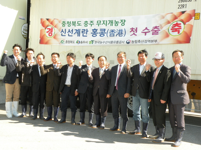 충북 계란 홍콩 첫 수출