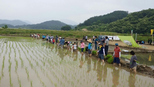 한살림충주제천생활협동조합, 손모내기 행사실시