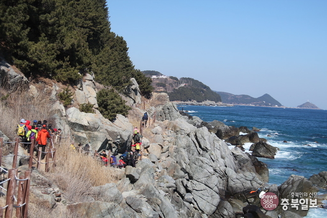 80차 충북일보 클린마운틴