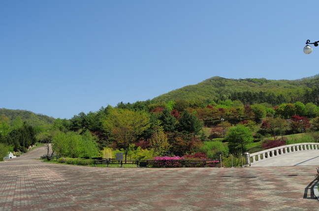 봄꽃 활짝 핀 세종시 금강수목원으로 오세요
