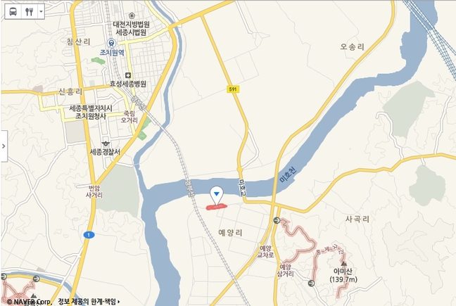 세종 연동면  미호천변으로 유채꽃 구경가자