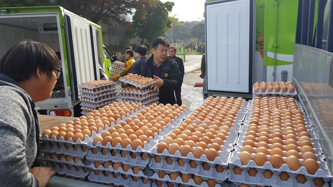 충주의 영농조합법인 무지개농장, 사랑의 달걀 기부