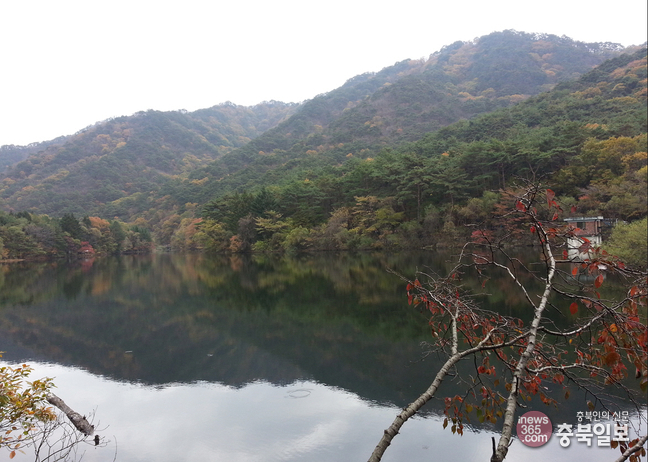 법주사지구 활용해 속리산 명성 되찾자