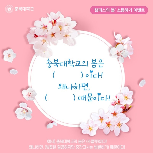 충북대 캠퍼스의 봄 찾기 이벤트 진행