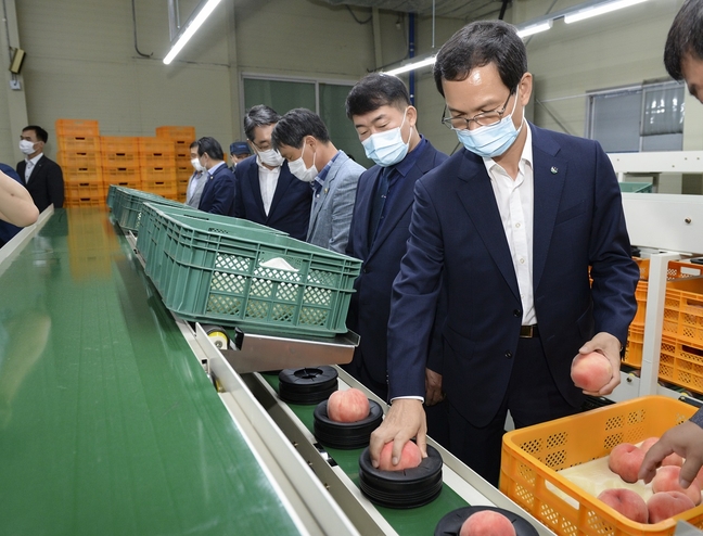음성농산물유통센터, 과일선별기 가동식