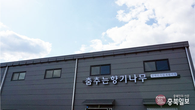 #샵스타그램 - 청주 미평동 춤추는 향기나무