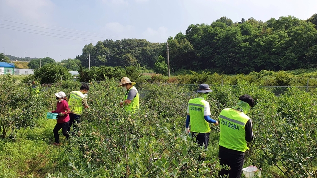 음성군 건설교통과 직원들, 생산적 일손봉사 동참