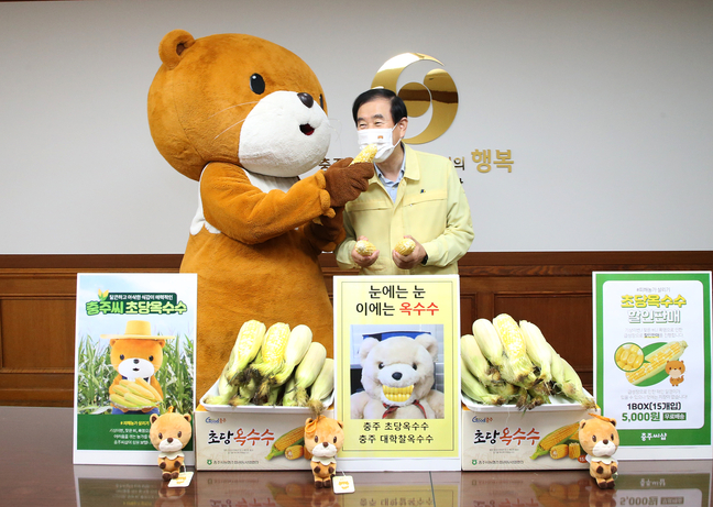 충주시, 초당옥수수 팔아주기 앞장…1만5천원 할인