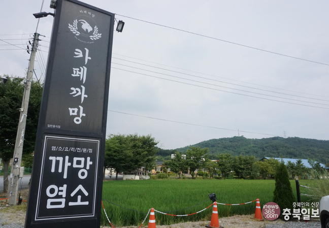 #샵스타그램 - 청주 지동동 카페까망