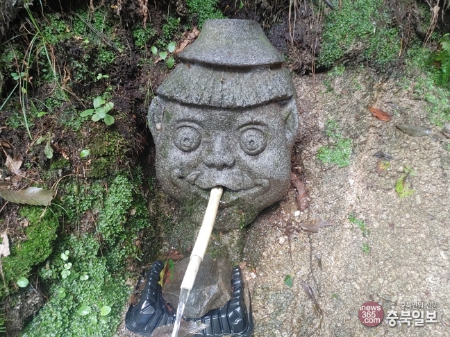 증평군, 도깨비 마을 인기