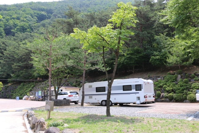충북도SNS서포터즈 - 단양 소선암오토캠핑장