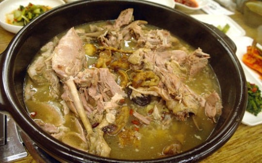 산야초백숙으로 ‘신지식인 인증’ 받은 록은당 산야초본가