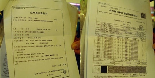 쫄깃한 맛과 착한 가격에 반한다 ‘아줌마 뒷고기’