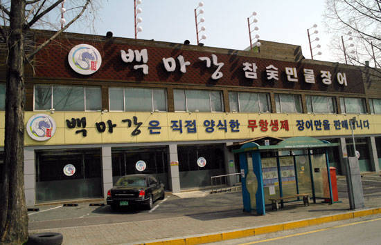 대전에 장어 붐을 일으킨 ‘백마강 참숯민물장어