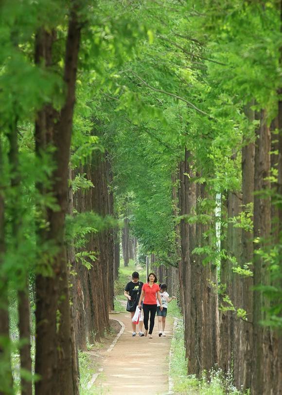 도심 속 황톳길, 주민 건강지키미 자리매김
