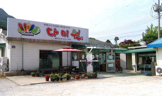 수통골에서 농사지은 쌈 채소로 만든 불고기 쌈밥