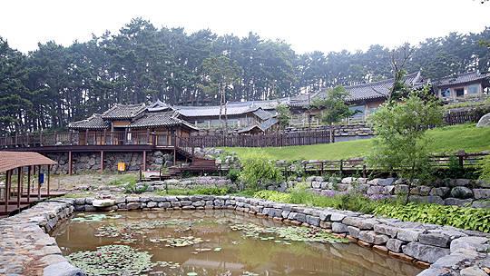 섬 전체가 정원 보령 죽도 상화원 눈길