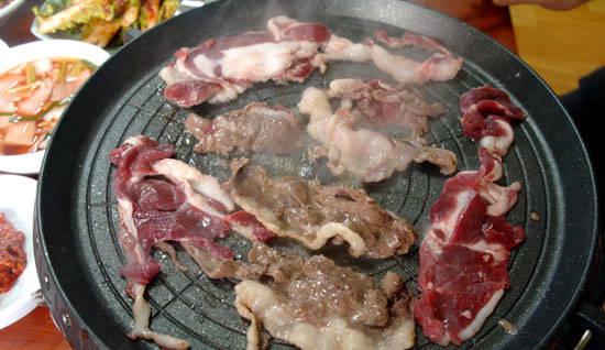 대전 최초로 오소리구이 맛볼 수 있는 곳 칠갑산 흑염소