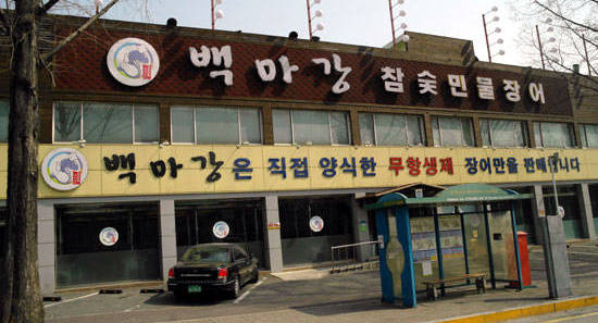 삼복더위 최고의 보양식 유명 민물장어 5選