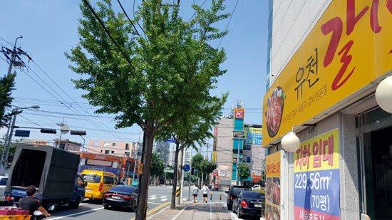 오늘 회식 메뉴 걱정 끝 ‘유천갈비막국수‘