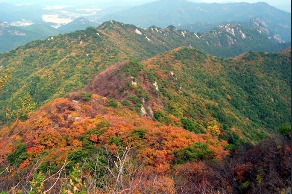 [주말날씨] 완연한 가을, 계룡산 단풍 절정