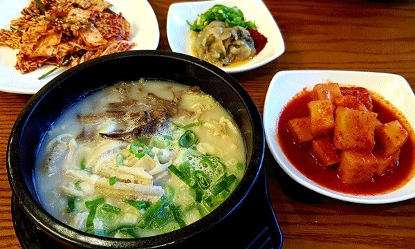 새롭게 변신한 곰탕집 소나무 풍경