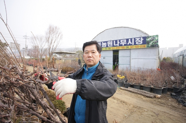 유영농원, 나무시장 개장