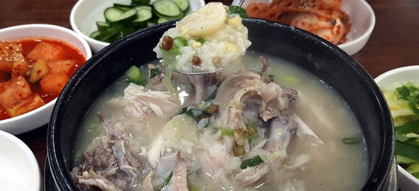 20년 전통을 잇는 엄마의 손맛 풍전삼계탕