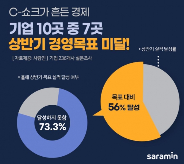 C-쇼크 국내 기업 70%, 상반기 경영 망했다