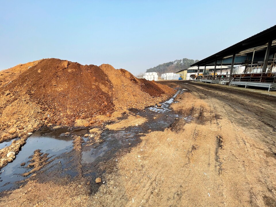 현대서산농장, 가축분뇨 수백 톤 불법야적···부남호·창리 앞바다 오염