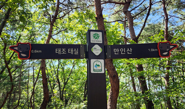 대전둘레산길2구간에서 만난 고라니와 영지버섯, 부러진 안전기둥