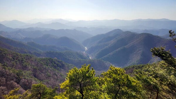충남에서 3번째로 높은 진악산, 금산의 수호신