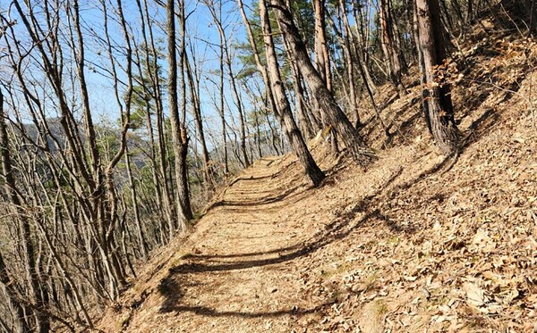 충남에서 3번째로 높은 진악산, 금산의 수호신