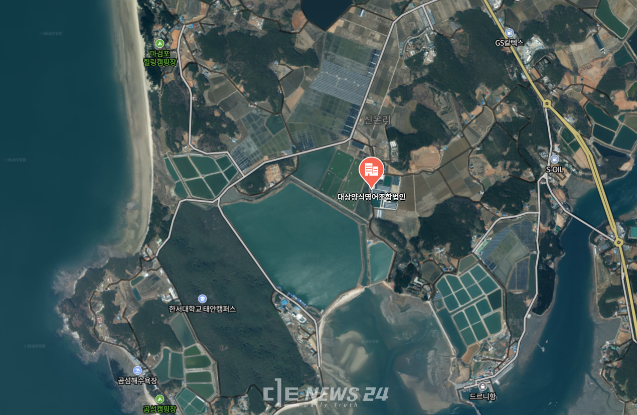 새우 키워 연매출 40억 91년생 MZ 어업인